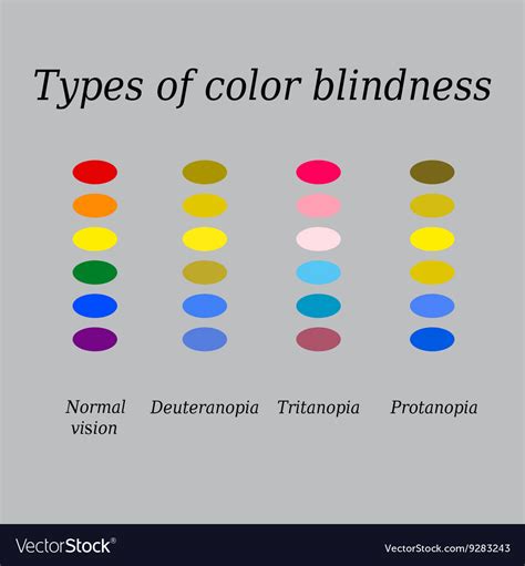 Types of color blindness eye perception Royalty Free Vector