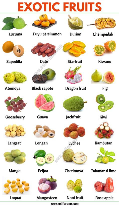 Exotic Fruits: List of 75+ Exotic Fruits From All Around the World ...