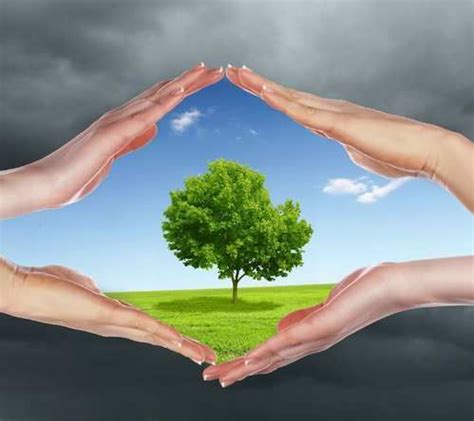 Air Pollution Solution Service Provider from Pune