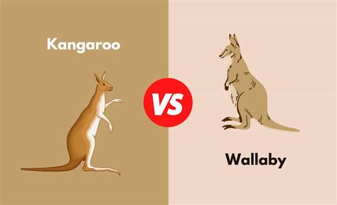 Green Humour: Kangaroos And Wallabies, 50% OFF