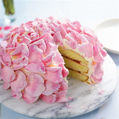 rose petal cake Twitter | Tastemade, Rose petal cake, Rose cake