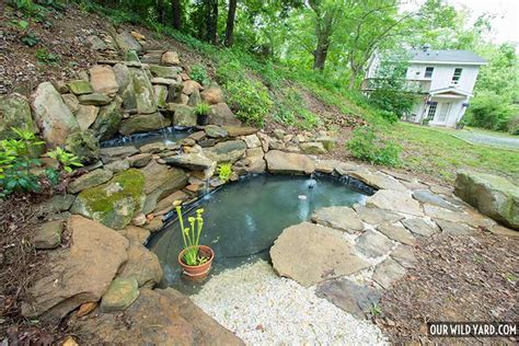 How To Make a Pond For Wildlife - Our Wild Yard