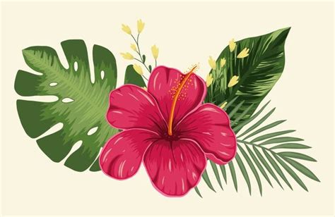 Drawing Hawaiian Flowers | Best Flower Site