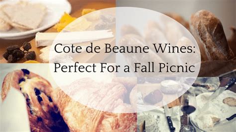 Cote de Beaune Wines: The Best Burgundy Wines for a Fall Picnic ...