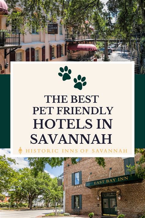 Best Pet Friendly Hotels in Savannah, GA in 2021 | Savannah hotels, Pet ...