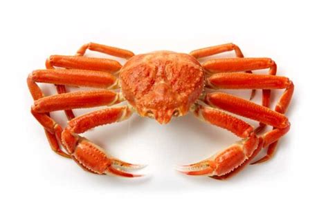 Snow Crab | Alaska Seafood Marketing Institute