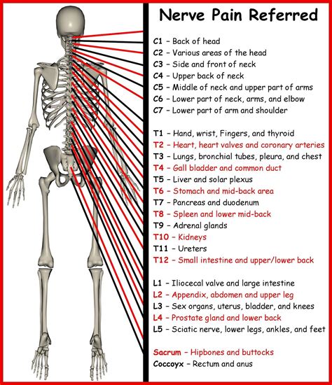 Pin on Medical