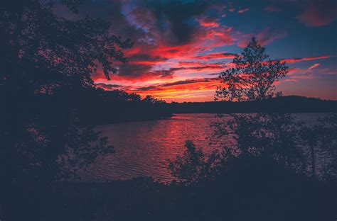 Red Evening Sunset Lake View From Forest Woods, HD Nature, 4k ...