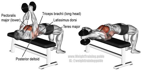 Lat Pushdown VS Dumbbell Pull-Over | Muscular Strength