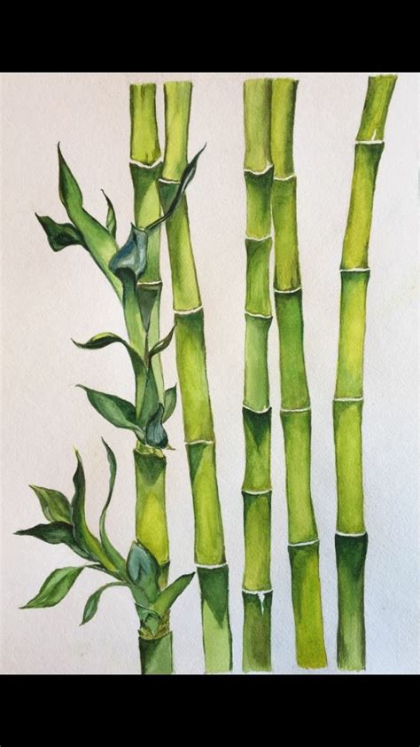 Bamboo Painting | Nature Art Prints