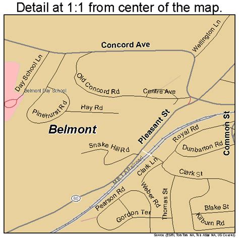 Belmont Massachusetts Street Map 2505105