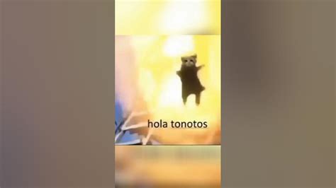 Hola tonotos #xd #meme - YouTube