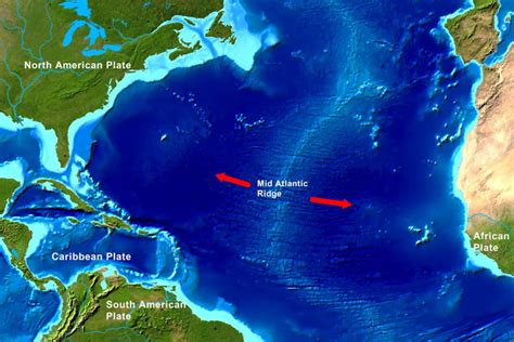 Mid Atlantic Ocean Ridge Location - ocean wildlife list