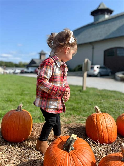 The Pumpkin Patch — High Lawn Farm