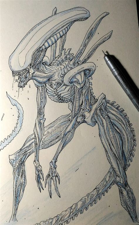 Alien Xenomorph Drawing - Drawing.rjuuc.edu.np