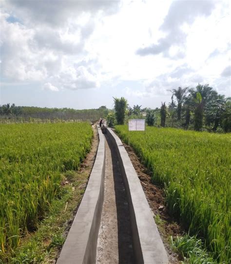 Kementan Realisasikan Program Irigasi Pertanian - AgroIndonesia