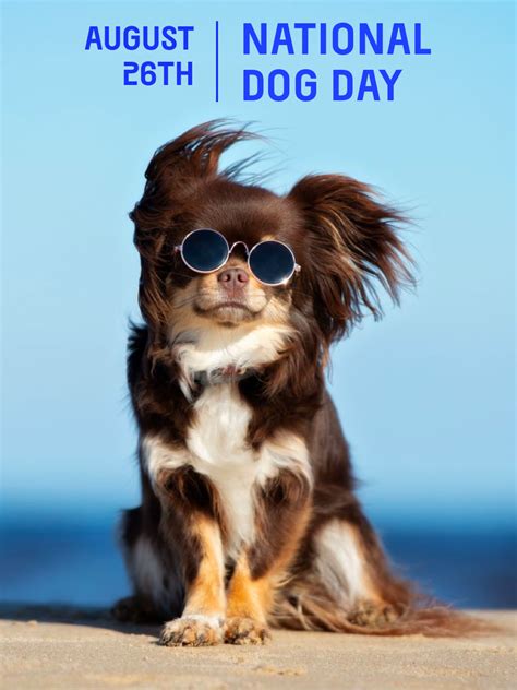 National Dog Day 2024 Images With Quotes - Luisa Robinet