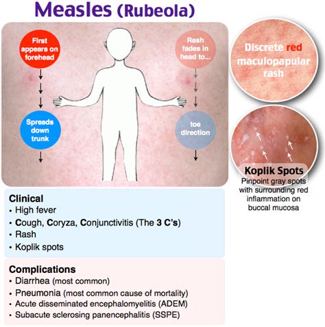 Pin on Infectious Disease