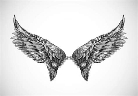 Hand Drawn Bird Wing Sketch Design 1255580 Vector Art at Vecteezy