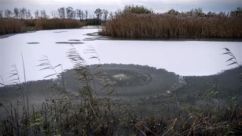 Pin on The Avalon Marshes on The Somerset Levels