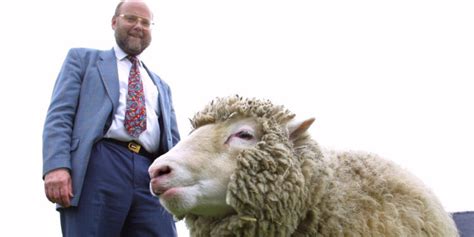 Ian Wilmut, Scientist Behind Dolly the Sheep, Is Dead at 79 – DNyuz