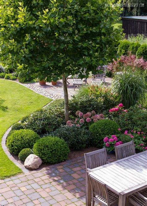 33 Best Trees For Small Gardens That Won't Limit Your Outdoor Space