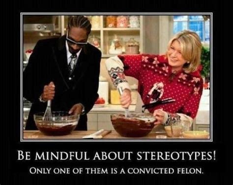 Snoop Dogg and Martha Stewart - Only one of these is a convicted felon ...