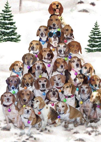 Beagle Rescue USA: Beagle Christmas Tree