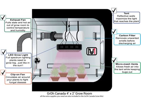 Grow Tent Ventilation Setup Diagram