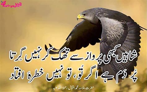 Poetry: Allama Iqbal Motivational Poetry Pictures in Urdu on Life ...