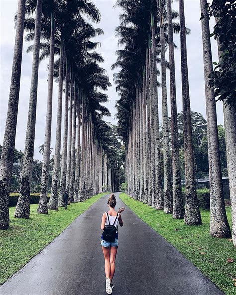 Peradeniya Royal Botanical Garden - Kandy, SriLanka | Botanical gardens ...