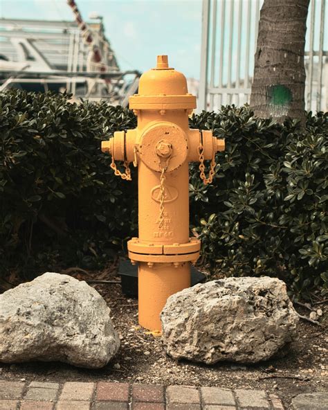 brown fire hydrant on gray rock photo – Free Miami beach Image on Unsplash