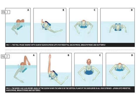 Swimming World Presents "Swimming Technique Concepts: Technique ...