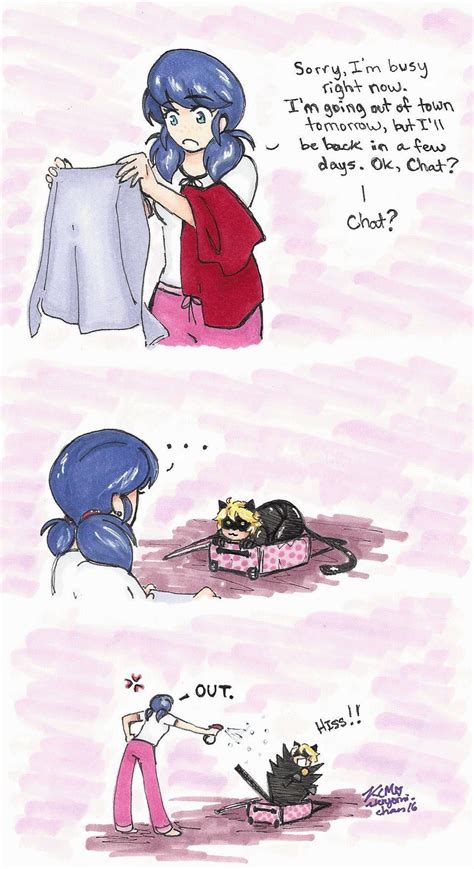 Image de Chat: Miraculous Ladybug Fanfiction Chat Noir And Marinette Lemon