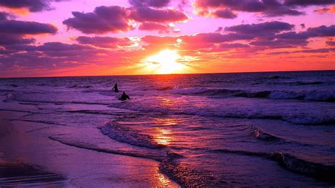 Beach Sunset on Dog .dog, beach sea sunset HD wallpaper | Pxfuel