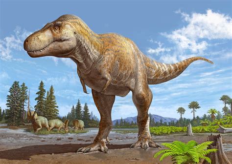 New dinosaur discovery may be the closest relative to Tyrannosaurus rex ...