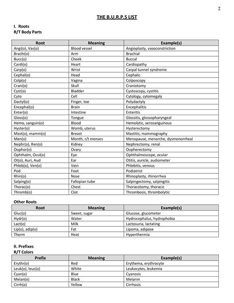 Nursing Jargon - 7+ Examples, Format, Pdf