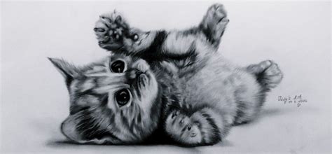 DRAWING ART - KITTEN | Süße katze zeichnung, Katzenzeichnung, Niedliche ...