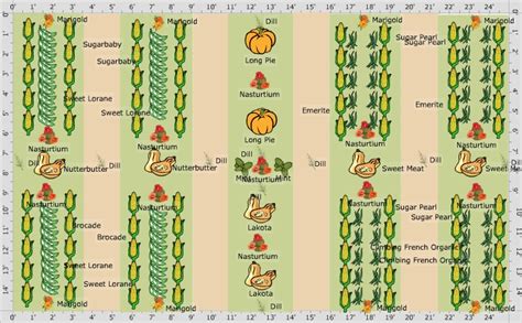 8 Images Three Sisters Garden Layout And Review - Alqu Blog