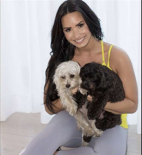 Os 40 pets mais famosos do showbiz! - Estrelando