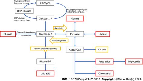 Diagnosis And Management Of Glycogen Storage Diseases Type, 56% OFF