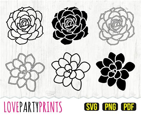 Succulent SVG Bundle PNG PDF 36 succulent clipart paper | Etsy