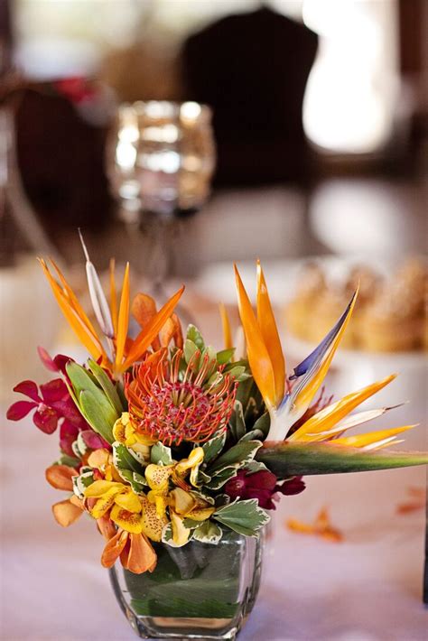 Bird of Paradise Centerpieces