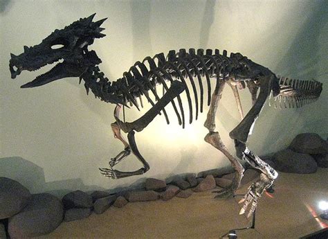 Dracorex. En Images Dinosoria | Image dinosaure, Dinosaure, Fossiles