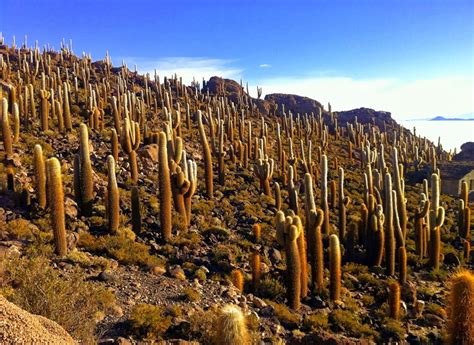 Transcendent Landscapes - A Photo Essay of Salar de Uyuni - Bolivian Life