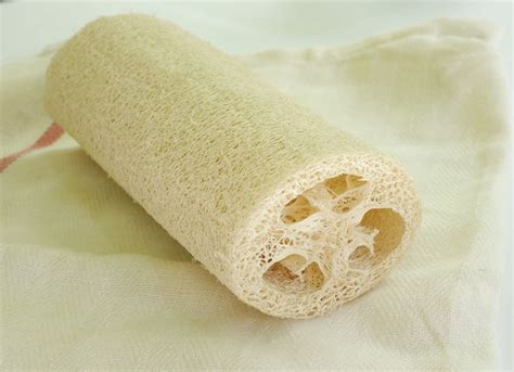 Loofah Sponge Soap Tutorial–DIY Gift Idea - EverythingEtsy.com