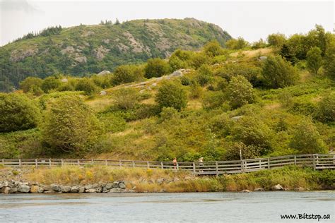 Bitstop: A Walk Around Quidi Vidi Lake