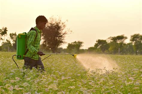 Spraying insecticide to crops - PixaHive