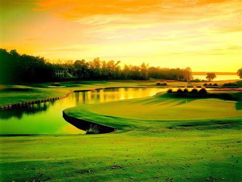 Golf Course Background