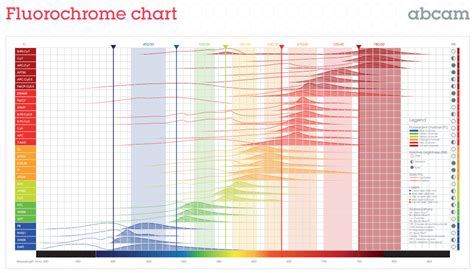 Flow Cytometry Fluorochrome Chart